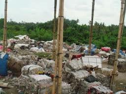 images_014